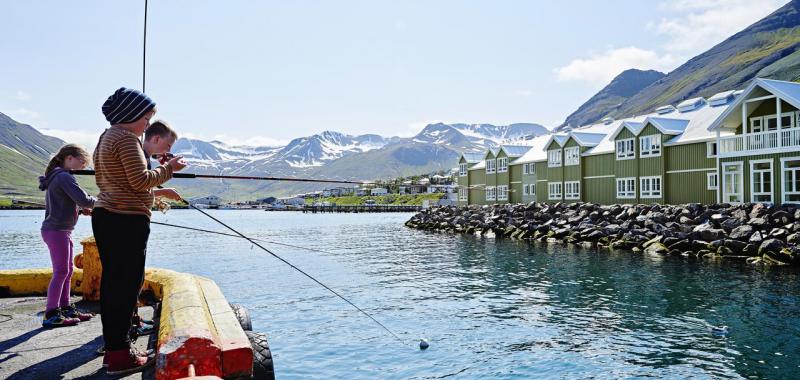 9. Avistamiento de ballenas en Islandia
